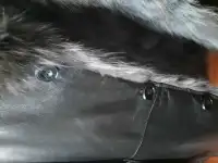 Мужское кожаное пальто на еноте, фотография 4