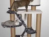 Продам  Игровой комплекс для кошки.