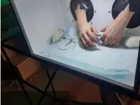 Игра Кажется нащупал фанбокс, трешбокс и Угадай напиток, фотография 3
