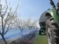 задымление плодовых садов, фотография 5
