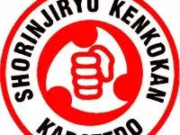 тренировки по Сёриндзи-Рю Кенкокан каратэ-до в Магис-Спорт для детей и подростков, фотография 3