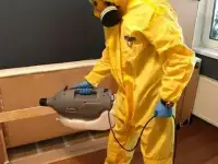 Круглосуточное уничтожение тараканов, клопов, муравьев, грызунов