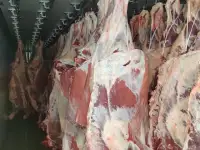 Мясо говядина на кости,быки,коровы,свинина,свиноматки., фотография 4