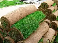 Рулонный газон под ключ доставка укладка