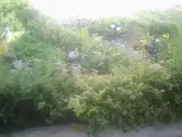 Продам дом в Екатеринбурге по кадастровой стоимости.