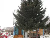 продам дачу, СНТ Березка 14 км. по Новокузнецкой трассе