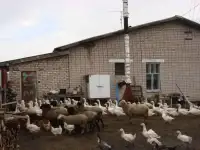 Ферма с с/х землёй на границе Татарстана в Кировской обл. Вятские Поляны, фотография 5
