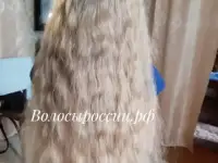 Покупаем дорого волосы в Санкт - Петербурге, фотография 3