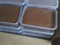 Шоколад весовой. Глазурь.
