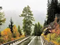 Юридическая помощь автоюриста