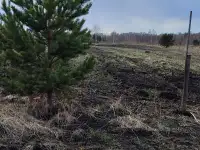 Продам земельный уч. с. Еловое Емельяновского
