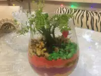 Флорариум., фотография 7