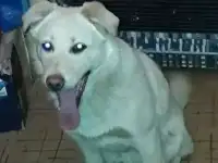 ищет дом, фотография 2