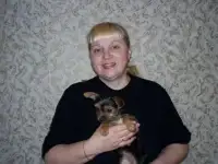 Алабай - кобели для вязок. Инструктор по вязкам . Осеменение. Роды.С-П и Лен. обл., фотография 5