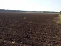 Продам участок земли сельхозназначения 9 га..