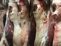 Предлагаю мясо и мясную продукцию