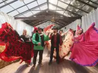 Цыганское шоу- ансамбль Ромалэ
