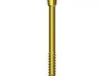 2.5mm Double Heads Compressive Cannulated Screw
