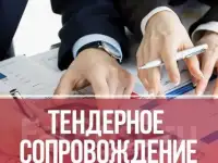 Тендерное сопровождение под ключ 44 ФЗ, 223ФЗ, 615 ФЗ и тд,, фотография 2