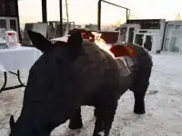 Мангал фигурный 