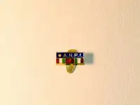Знак A.N.P.I., Италия