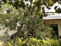 Продам дом