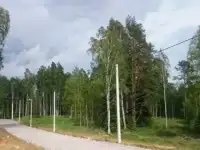 Участок 13 соток Всеволожский район до СПб 27 км, фотография 4