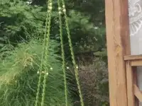 Детская качель 