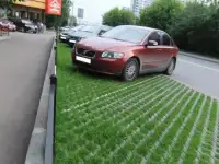 Газонная бетонная плитка Экопарковка, фотография 4