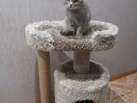 Домик для кошки с когтеточкой, фотография 5