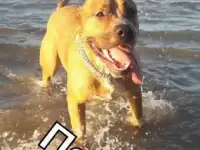 Лучший подарок на Новый год@