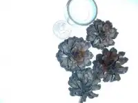 шишки для творчества