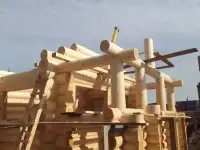 Рубленые дома из кедра, сосны, лиственницы, фотография 3