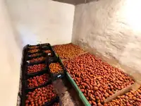 Продам дом 125,00 м2, Красноармейская ул, 4, фотография 11