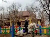 Занятия верховой ездой