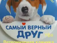 Ветеринарная клиника 