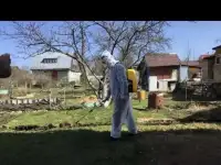 Дезинсекция. Уничтожение клопов и тараканов.