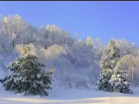 Тур в Хвалынск, 10-11 марта, фотография 9