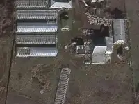продам действующий тепличный бизнес в ДНР, фотография 2