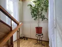 Дом 167,8 м на участке 3 сот., фотография 9