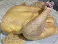 Продается Деревенская ТушкаХаляль