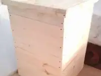 Улья дадан