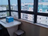 Сдам однокомнатную квартиру в Колтушах, Колтуши,Павлово ,Морской проезд ,2, фотография 10