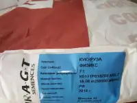 Семена гибрида кукурузы ФИЗИКС