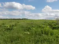 Земельный участок для с\х назначения, Пермский район, Култаевское с\п, в 2 км юго восточнее от с. Баш-Култаево, фотография 5