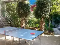 Отдых в Сочи недорого., фотография 2