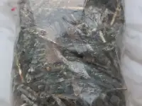 Контакты от советской Электроники, посеребрёнее