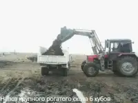 Навоз крупного рогатого скота 6 кубов