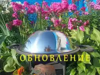 Сибирский садж, фотография 2