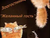 Передержка питомцев на время Вашего отсутствия.